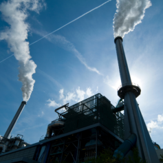 Waste Incineration : The impact of Emission Trading Scheme